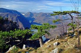 Nacionalni park tara zauzima veći deo površine planine tara nacionalni park se prostire na površini od 19 175 hektara, na prosečnoj nadmorskoj visini od 1 200 metara. Kayaking And Rock Climbing In Serbia Tara National Park 3 Day Trip Certified Guide