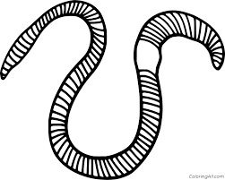 Depending on the species of earthworms, they. Easy Earthworm Coloring Page Coloringall
