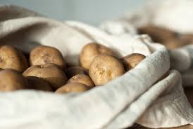 Zusammen mit meiner tochter kerstin ernte ich nun die ersten kartoffeln 🏷 vorräte. Saatkartoffeln Einlagern Wie Es Geht Und Wann Es Losgeht Ein Stuck Arbeit