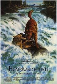 Lost in san francisco.finding themselves on unfamiliar streets, they are forced to elude dog catchers and outsmart alleyway mutts. Homeward Bound 1993 Kids Movies Dog Movies The Incredibles