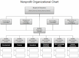 4 5 Non Profit Organization Chart Sop Examples