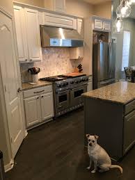 I would absolutely use benjamin moore's edgecomb gray again in the future. Bm Edgecomb Gray Walls Bm Squirrel Tail Island Sw Alabaster Cabinets Sw Alabaster Cabinets Alabaster Cabinets Sw Alabaster