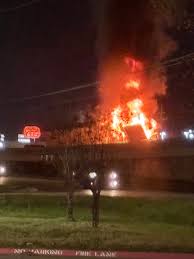 Puppies need new home.