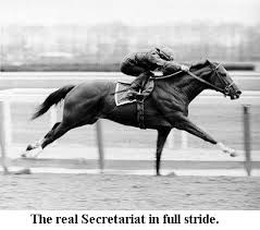 Quotes that contain the word secretariat. Secretariat Bojack Horseman Wiki Fandom