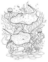 27 stingray coloring page collections. Pin On Coloring Pages