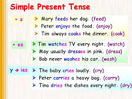 We did not find results for: Simple Present Tense We Use This Tense To
