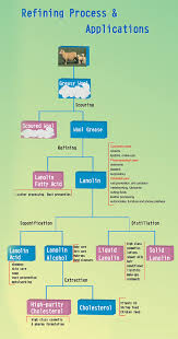 flow chart the lanolin