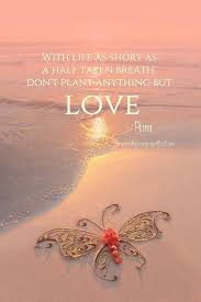 Amen Rumi Love Quotes Rumi Quotes Rumi Love