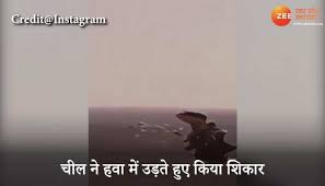 Voting for second phase of up panchayat polls to be held on monday U5kd1juipo Oam