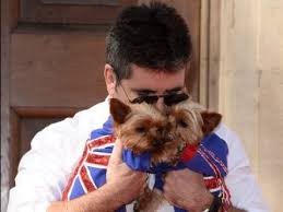 Super easy as a siwanator jo jo really got the moves her dog is cute and she really loves bows also, i have a question is she a fashion star because every time i pick clothes out of my closet i. Simon Cowell Adopts Fourth Dog After Falling In Love At Charity Auction Metro News