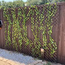 It is placed away from walls so the vine can grow on all sides and get air circulation. Expandable Garden Trellis Plant Support Willow Lattice Fence Panel For Climbing Plants Vine Ivy Rose Cucumbers Clematis 36x92 Inch Pricepulse