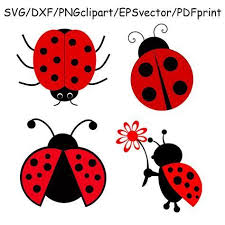 Image Result For Free Svg Files For Cricut Ladybug Ladybug Clip Art Crafts