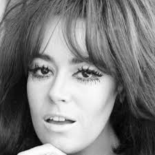 Watch Live TV, Movies, and TV Shows Free Online