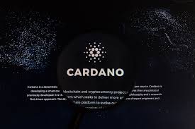 • if you'd like to purchase this design our logo is at the heart of the brand identity. Guide To Cardano And Ada What Is Cardano And Why It Matters Forkast