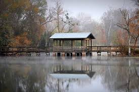 Maybe you would like to learn more about one of these? Brick Pond Park Sc Picture Project