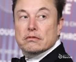 The numerous mistakes, according to people familiar with the complex world  of government contracting, suggest that Mr. Musk's team of outsiders,  charged by the president with cutting spending, don't fully understand it."