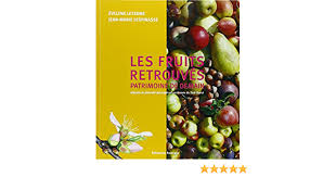 Amazon Fr Les Fruits Retrouves Patrimoine De Demain Histoire Et Diversite Des Especes Anciennes Du Sud Ouest Leterme Evelyne Lespinasse Jean Marie Livres