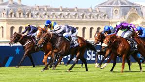 Le lad jockey est un partenaire d'entrainement pour le cheval de course. Quinte De Gala Avec Le Qatar Prix Du Jockey Club A Chantilly Ce Dimanche 6 Juin Les Pronostics De Gerard Mot