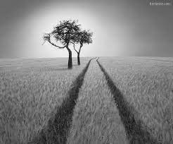 60 Inspiring Examples Of Black And White Pictures Black And White Landscape Conceptual Photography Nature Photography