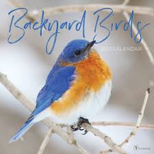 2021 Wall Calendar Backyard Birds The Time Factory In 2020 Backyard Birds Birds Wall Calendar