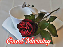 Find the perfect sweet good morning message for her or morning text and she'll be loving you all day long! Updated Good Morning Flowers And Roses Messages Images Gif Pc Android App Mod Download 2021