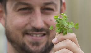 Sonoma Valley High School grad goes macro with micro greens