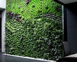 Build a diy indoor vertical garden for indoor hanging plants with this detailed tutorial. Spain S Largest Vertical Garden Cleans Indoor Office Air