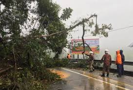 Check spelling or type a new query. Tanah Runtuh Dan Pokok Tumbang Di Cameron Highlands Tigapara