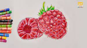 To make a raspberry martini, first fill a shaker with crushed ice. How To Draw Raspberry Fruit I Draw Fruit I Art Janag Youtube