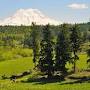 Profile Picture of Wilcox Farms: Home (@wilcoxfarms.com) on Google
