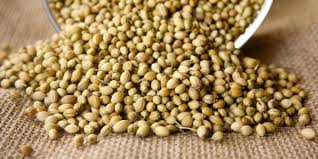 Las semillas de cilantro son el fruto que se da como resultado de la cosecha de una planta el cilantro es una hierba que no crece más allá de los 50 centímetros y sus principales características. Semillas De Cilantro Propiedades Usos Cocina Venta