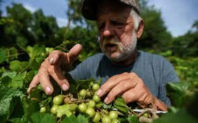 Photos: SE Texas gets a new winery