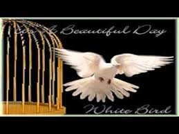 It S A Beautiful Day White Bird 1969 White Bird Beautiful Day Bird