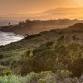 Morning Walk at Carpinteria Bluffs Nature Preserve... event in Carpinteria, CA