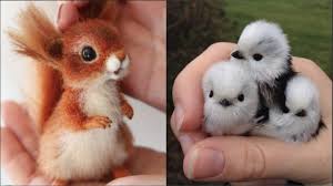 10 Best Pets To Consider For Your Child Baby Animal Videos Cute Baby Animals Baby Animals