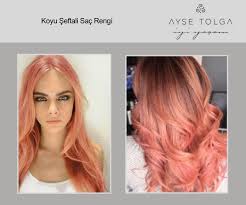 Kahverengi patlıcanın bir karışımı ile mor renk patlıcan, biraz avrupa patlıcan rengine benzer. En Populer Sac Renkleri