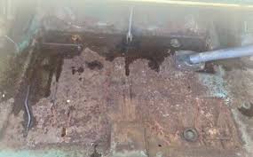 Image result for Frosty Green 1974 Challenger