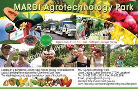 We did not find results for: Mardi Langkawi On Twitter Taman Agroteknologi Mardi Langkawi Adalah Salah Sebuah Destinasi Agropelancongan Terkenal Di Malaysia Antarabangsa Http T Co Z0cuworz0j