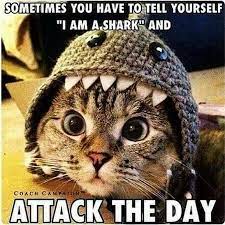 Every Office Manager Meme You Ever Wanted Snacknation Motivational Memes Funny Motivational Memes Monday Humor