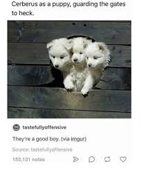 Cerberus As A Puppy Guarding The Gates To Heck To Tastefullyoffensive They Re A Good Boy Via Imgur Source Tastefullyoffensiv Cute Animals Puppies Animals