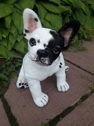 Black And White Frenchie With Blue Eyes Pin On Black And White