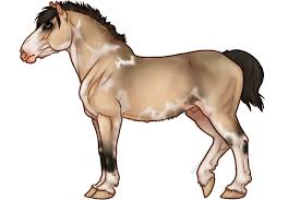 The scheme below shows what happens when two buckskin horses are bred together. View Topic Aisp 6 Buttermilk Buckskin Chicken Smoothie