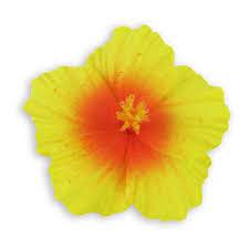 Yellow Orange Small Hibiscus Flower Hair Clip 3 95 Liked On Polyvore Featuring Accessories Hair Accessories Flower Hair Clips Hibiscus Flowers Hibiscus