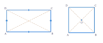 Quadrilateral, Its Sides, Diagonals & Types Of Quadrilateral