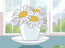 Full guide on how to start a flower shop online. 3 Ways To Display Flowers Without A Vase Wikihow