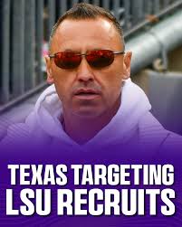 Sharks in Destin, Florida, Gulf of Mexico