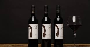Daniela and james get divorced. Dolores Aveiro Has A Brand New Wine And Cristina Ferreira Is The Goddess
