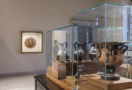 Image result for Dignathia