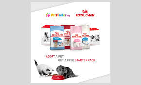 36 results for animal jam adopt a pet. Malaysiakini Royal Canin Malaysia And Petfinder My Launches Campaign To Encourage Pet Adoption