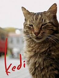 Amazon Com Watch Kedi Prime Video Free Movies Online Documentaries Movies